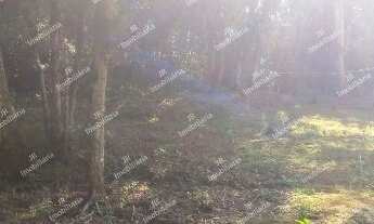 Imagem 7: Excelente Chácara Sem Benfeitorias