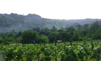 Imagem 6: ÁREA RESIDENCIAL em ITUPEVA - SP, SANTA ELIZA