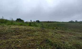 Imagem 7: Imóvel para venda possui 1000 metros quadrados em Tapera Grande - Mairiporã - São Paulo