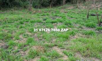 Imagem 7: Lindas chácaras em Ravena de 1.000 mts planas terra de cultura a 800 mts do asfalto