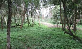 Imagem 7: Terreno para Venda em Colombo, Das Graças, 1 banheiro