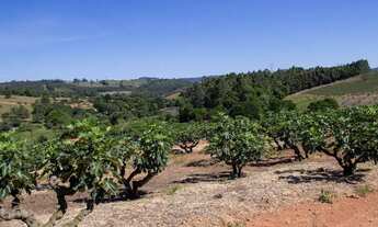 Imagem: Sítio à venda, 57000 m² por R$ 1.300.000