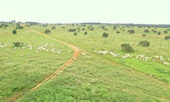 Imagem: Vendo Fazenda Cassilândia - MS