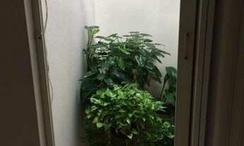 Imagem 5: Casa em San Martin, 3 quartos, sendo 1 suíte, R$ 440 mil