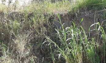 Imagem 2: Lote para Venda em Ribeirão das Neves, Cidade Neviana