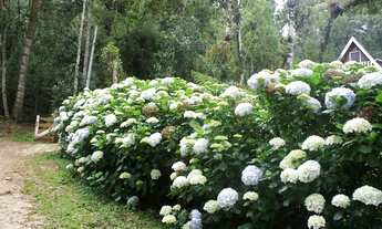 Imagem 5: Lote/Terreno para venda possui 1025 metros quadrados em Vila Natal - Campos do Jordão - SP