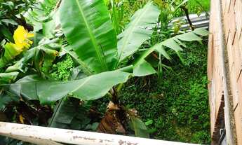 Imagem 2: Casa 02 Quartos, 1 Banho, 2 Vagas, Lote 250m2. Bonsucesso, Milionários, BH