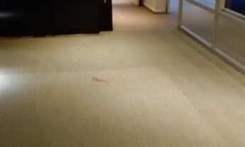 Imagem 5: CONJUNTO COMERCIAL PX A ESTAÇÃO ANA ROSA