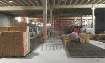 Imagem 4: Galpão com Docas - Pari