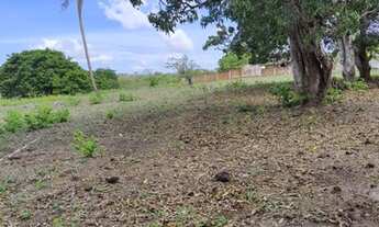 Imagem 16: Excelente Fazenda com 150 hectares na região de São Gonçalo do Amarante