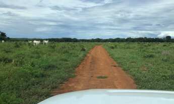 Imagem 3: Arrendamento para Lavoura Água Boa - MT