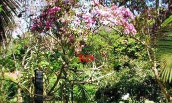 Imagem 5: Chácara à venda, 5800 m² por R$ 425.000,00 - Taiacupeba - Mogi das Cruzes/SP