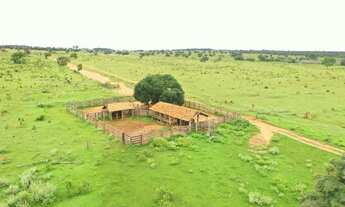 Imagem 4: Vendo Fazenda Cassilândia - MS