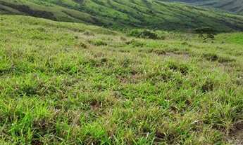 Imagem: Fazenda - Cocalzinho de Goiás - 158 alqueires