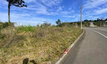 Imagem 4: CAXIAS DO SUL - Terreno Padrão - Jardim das Hortências