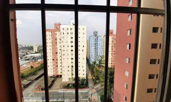 Imagem 6: Apartamento para Aluguel - Anchieta, 2 Quartos, 56 m2