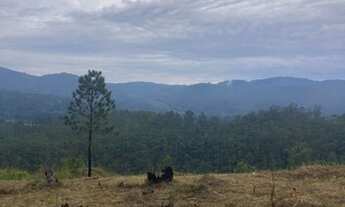 Imagem: Chácara e terrenos