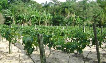 Imagem 4: ÁREA RESIDENCIAL em ITUPEVA - SP, SANTA ELIZA