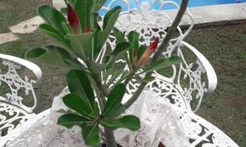 Imagem 6: Sobrado no Portal do Sol II