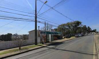 Imagem 6: Terreno à venda, 651 m² - Mercês - Curitiba/PR