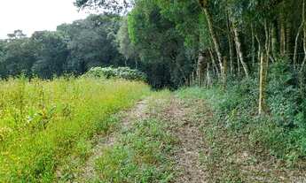 Imagem 5: Excelente Chácara com 4.500 m2 Muricy 290.000.00