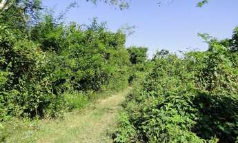 Imagem 4: SANTO ANTôNIO DO LEVERGER - Chácara - Zona Rural