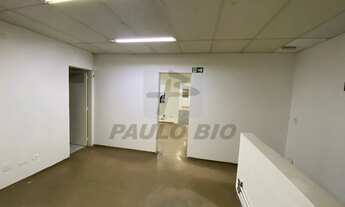 Imagem 13: SAO PAULO - Galpão/Depósito/Armazém - Vila Leopoldina