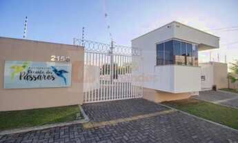 Imagem: Recanto dos Pássaros gt