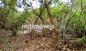 Imagem 3: Venda Lote-Área-Terreno Sambaqui Florianópolis