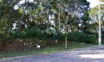 Imagem 4: GRAMADO - Terreno Padrão - Linha Avila