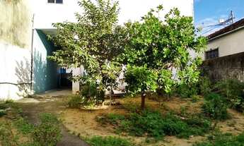 Imagem 3: Casa, loja e terraço em terreno com 250m²