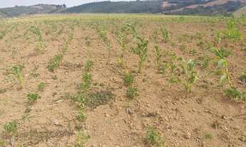 Imagem 2: Sitio Granja-Morungaba/SP/BR