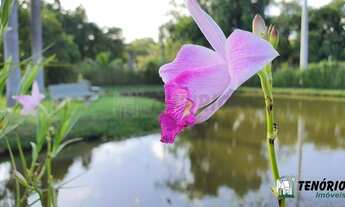 Imagem 4: Chácara c/ piscina, casa c/ 03 dorm., suíte, lago - 3.500 m² - Sorocaba/SP
