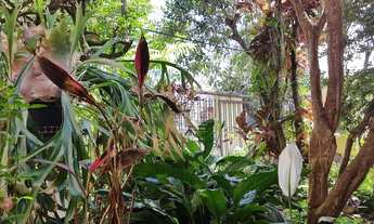 Imagem 4: Casa com 4 dormitórios à venda, 200 m² por R$ 495.000,00 - Jardim das Flores - Osasco/SP