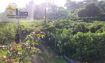 Imagem 7: Chácara em CACHOEIRINHA - Pinhalzinho