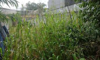 Imagem 3: Terreno ao lado Metro Adolfo Pinheiro