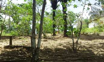 Imagem 3: Terreno no Ramal do Caldeirao