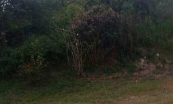 Imagem 6: Sítio cachoeiras de macacu