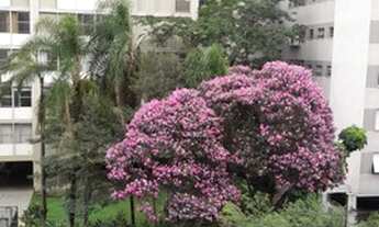 Imagem 4: APTO AO LADO METRO TRIANON