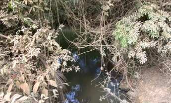 Imagem 4: Terreno com área de 2,5 ha em Sítio Novo - Mateus leme/MG