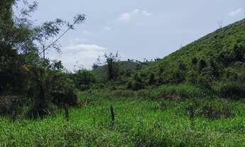 Imagem 3: Sítio 14 Alqueires 12 Alqueires aberto ( Willian Ricardo