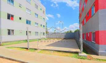 Imagem 4: Toledo - Apartamento - Jardim Panorama