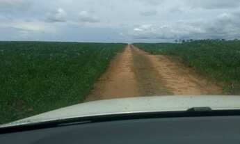 Imagem 5: Fazenda flor de lis ( região de itaubà