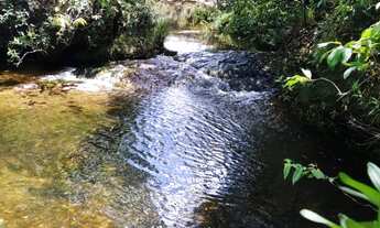 Imagem: Chácara com Rio Vale Verde- 15ha - 15km