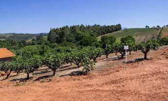 Imagem 4: Sítio à venda, 57000 m² por R$ 1.300.000 - Morungaba - Morungaba/SP