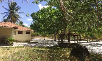 Imagem 6: Excelente Sítio à venda, Taíba, São Gonçalo do Amarante