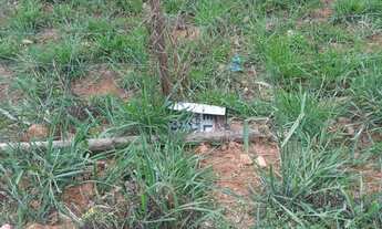 Imagem 2: Vendo o troco lote em São Joaquim de bicas