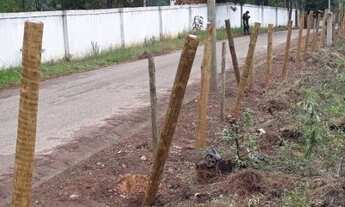 Imagem 6: Nova Lima - Loteamento/Condomínio - São Sebastião Das Águas Claras