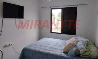 Imagem 4: Lindo apartamento em Vila Amalia