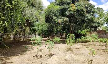 Imagem 7: Chácara centro de Conceição do Jacuípe